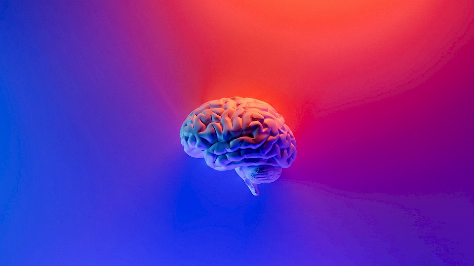 Brain image